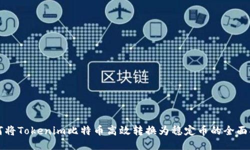 如何将Tokenim比特币高效转换为稳定币的全面指南