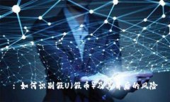 : 如何识别假U（假币）及其背后的风险