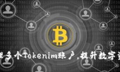 如何高效管理多个Tokenim账户，提升数字资产投资