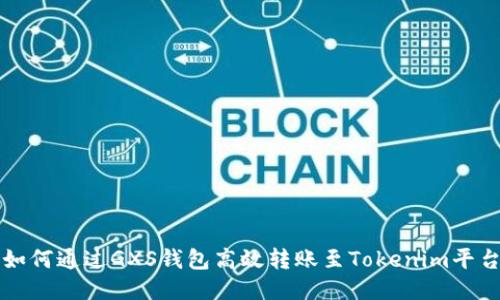 如何通过GXS钱包高效转账至Tokenim平台