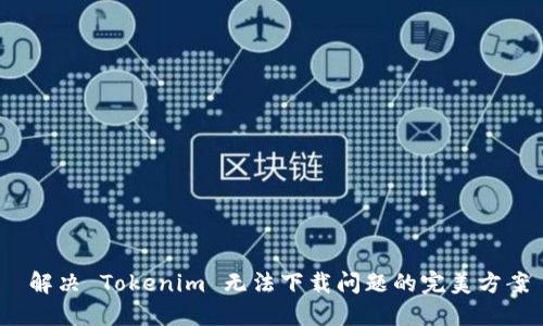  解决 Tokenim 无法下载问题的完美方案
