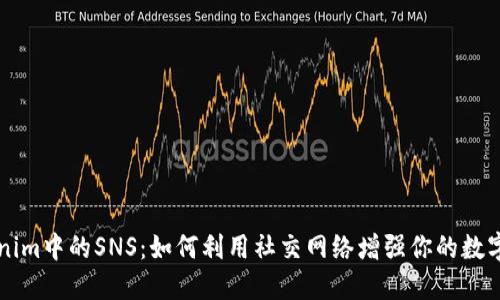 深入了解Tokenim中的SNS：如何利用社交网络增强你的数字资产投资潜力