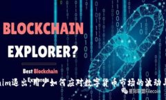 Tokenim退出：用户如何应对数字货币市场的波动与