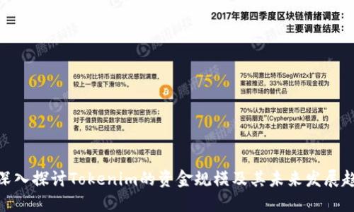 : 深入探讨Tokenim的资金规模及其未来发展趋势