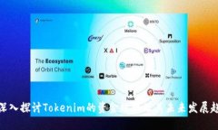 : 深入探讨Tokenim的资金规模及其未来发展趋势