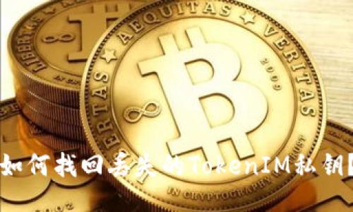 如何找回丢失的TokenIM私钥？