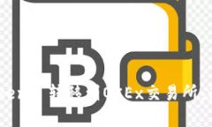 如何将Tokenim Tokens 转移到OKEx交易所：简单易懂的