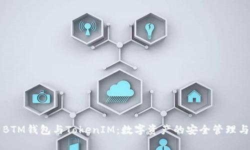 全面解析BTM钱包与TokenIM：数字资产的安全管理与实践应用