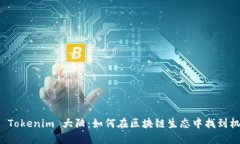 深入了解 Tokenim 大陆：如何在区块链生态中找到