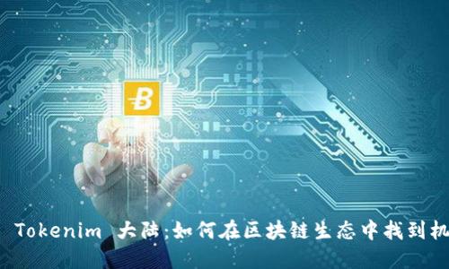 深入了解 Tokenim 大陆：如何在区块链生态中找到机会与挑战