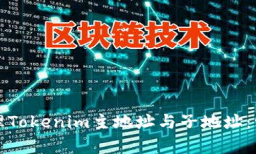 如何有效管理Tokenim主地址与子地址：一个全面指南