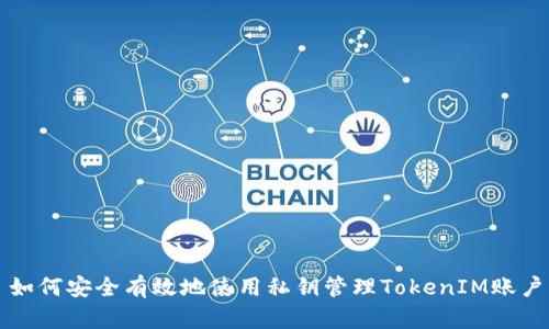 如何安全有效地使用私钥管理TokenIM账户