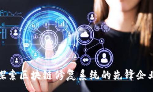 :
探索区块链修复系统的先锋企业