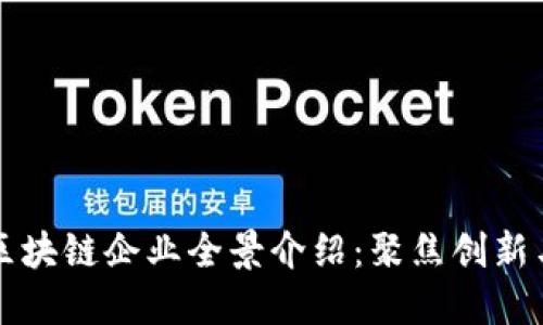 深圳区块链企业全景介绍：聚焦创新与发展