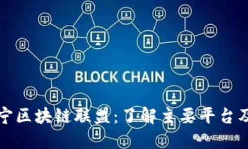 探秘辽宁区块链联盟：了解主要平台及其应用