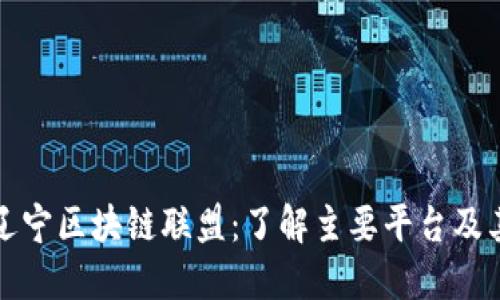 探秘辽宁区块链联盟：了解主要平台及其应用